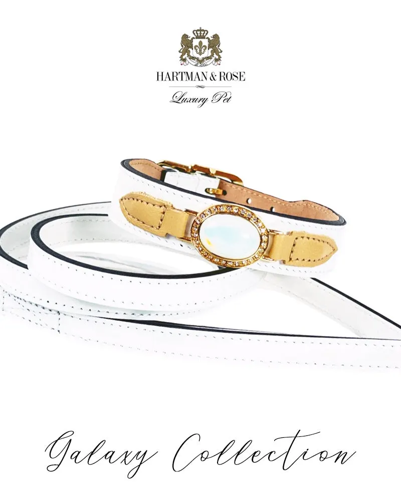 Galaxy Dog Leash in White Patent & Gold