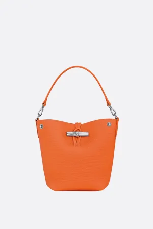 Le Roseau Xs Leather Bucket Bag