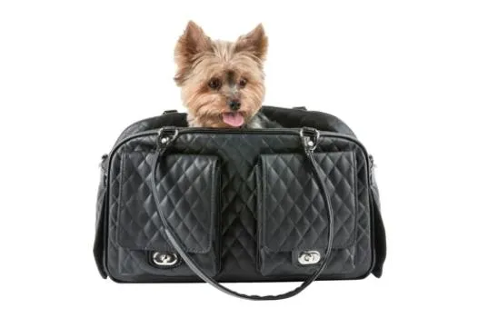 Marlee Dog Carrier (4 Colors)