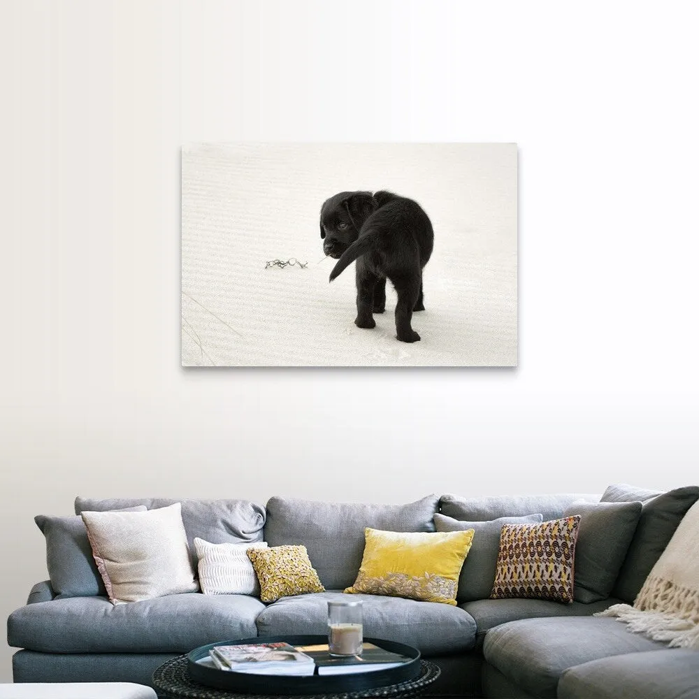 "Black Labrador Puppy on the beach" Canvas Wall Art