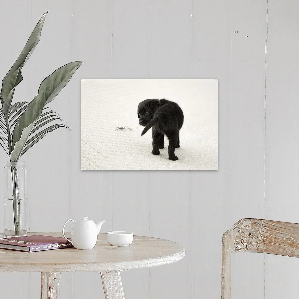 "Black Labrador Puppy on the beach" Canvas Wall Art