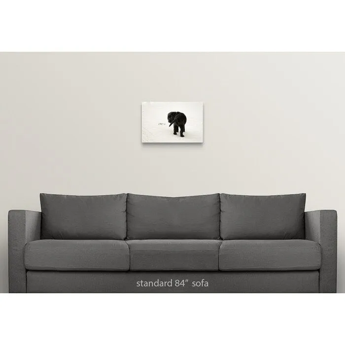 "Black Labrador Puppy on the beach" Canvas Wall Art